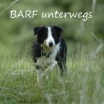 Barfen im Urlaub ?

Wir haben vor langer Zeit...