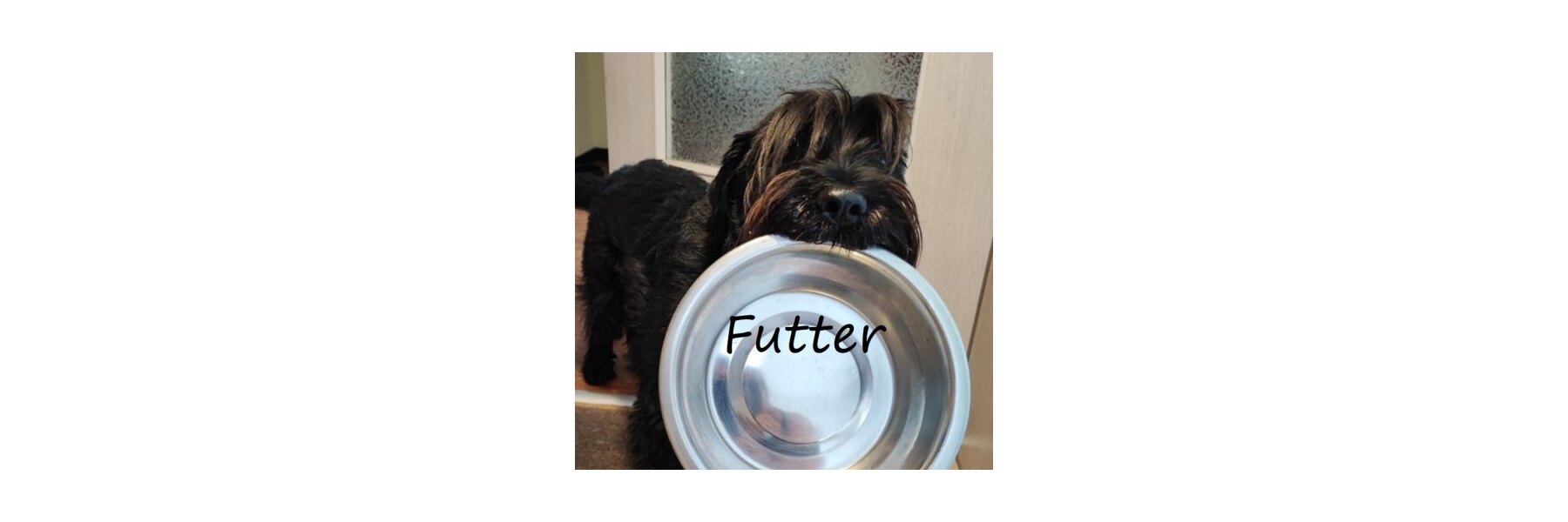 GRAU Trockengemüse Für Hunde – Karotten-Würfel, 3er Pack (je 150 G), BARF-Ergänzung, Naturbelassen