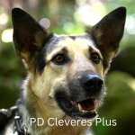 Entdecken Sie die hochwertigen...