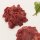 Fit mit Rind - 1 kg