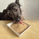 Fischmehl (Dorsch, Seelachs, Schellfisch)