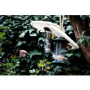 Properbirds Schalenloser Vogeltraum mit Insekten (2,5 kg)