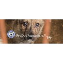 Spende von ProperDog über 3,00 Euro zu Gunsten der...