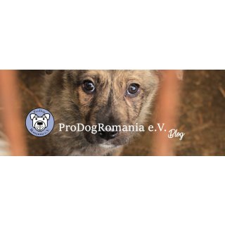 Spende von ProperDog über 5,00 Euro zu Gunsten der ProDogRomania e.V.