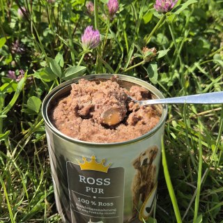 Futterrettung 58 - Ross pur 800 g