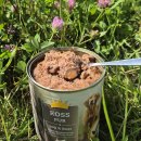 Futterquelle Ross pur 400g