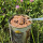 Futterquelle Ross pur 400g