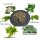 PD® Barfers Green Power - Schluss mit Grasfressen