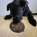 Futterrettung 98 - Pferdemuskelfleisch gewolft 100 g