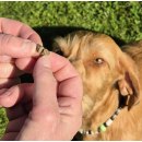 Lamm-Schmankerl Medium Dry 200 g