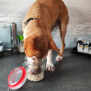 Gratisgeschenk Kartoffel-Knubbel (200 g)
