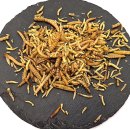 Vogelfit mit Insekten 500 g