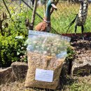 Vogelfit mit Insekten 500 g