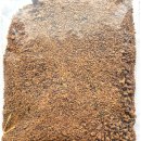 Futterrettung 140 - Pferdemuskelfleisch ganz fein ca. 285 g