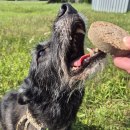 Properdogs FeinWurst Pferd 800 g
