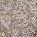 Futterrettung 99 - Bio - Amaranthflocken