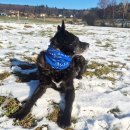 Multifunktions-Schal/ Bandana