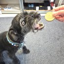 Properdogs FeinWurst Huhn 800 g