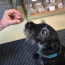 Gratisgeschenk Metzgermeister Rindswürstchen 1 St.